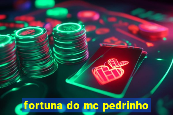 fortuna do mc pedrinho