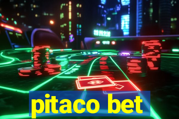 pitaco bet