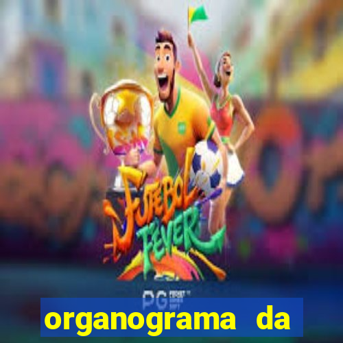 organograma da cacau show