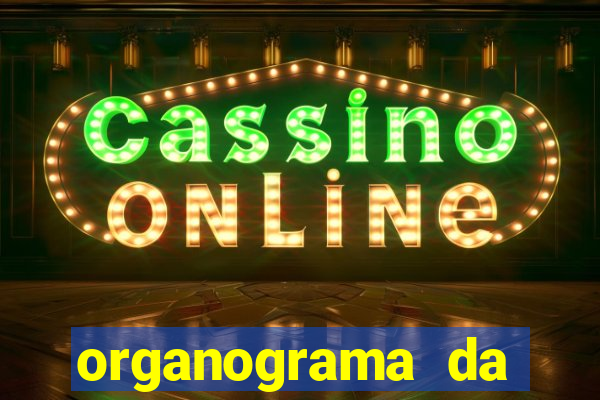 organograma da cacau show