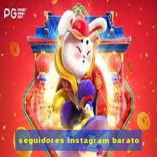 seguidores instagram barato