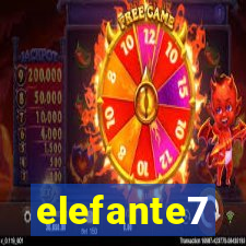 elefante7