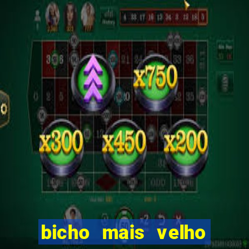 bicho mais velho da loteria dos sonhos