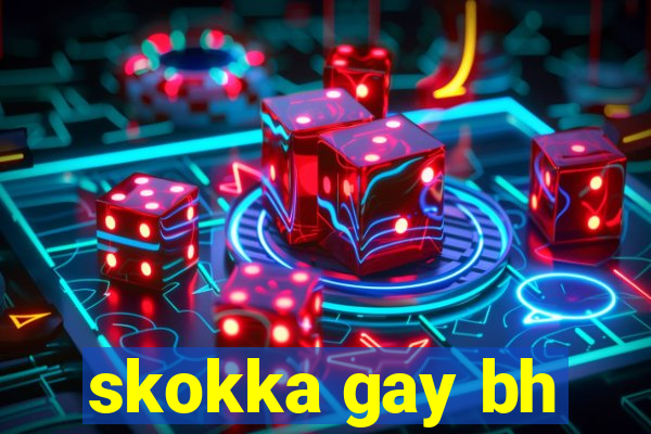 skokka gay bh