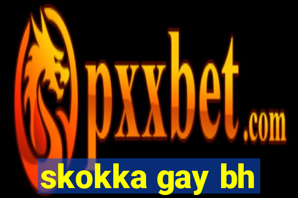 skokka gay bh