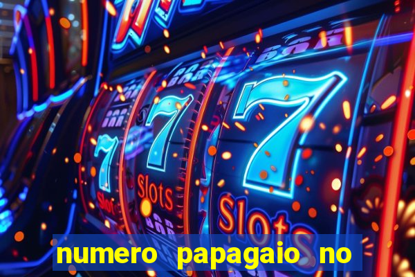 numero papagaio no jogo do bicho