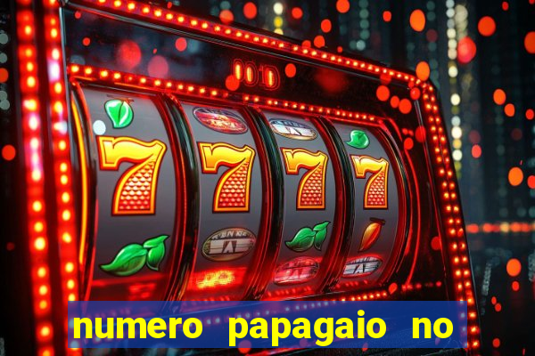 numero papagaio no jogo do bicho