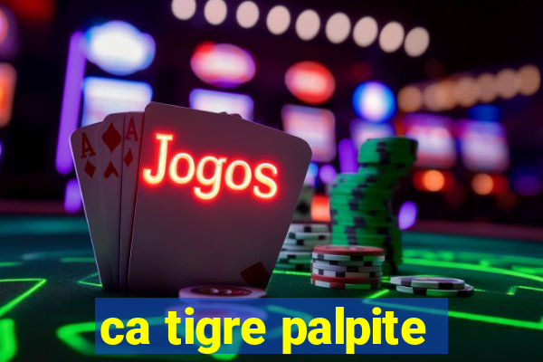 ca tigre palpite