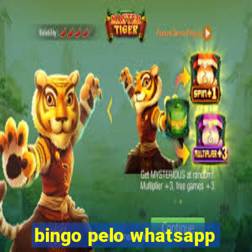 bingo pelo whatsapp