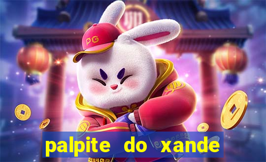 palpite do xande para hoje