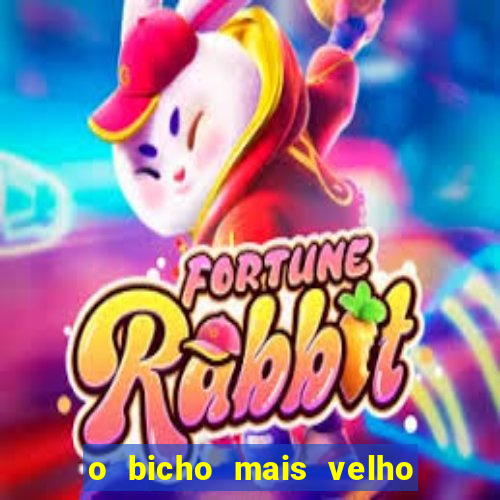 o bicho mais velho da loteria dos sonhos