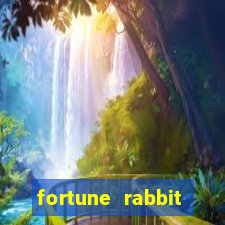 fortune rabbit melhor horário