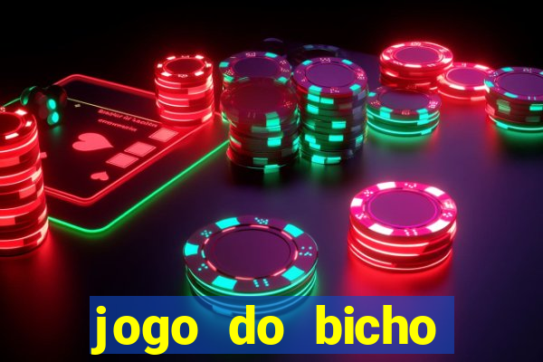 jogo do bicho crash bingo