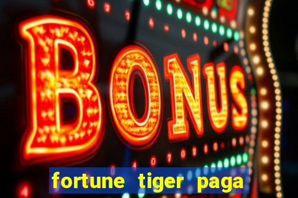 fortune tiger paga de madrugada