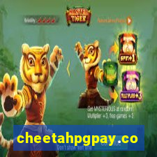 cheetahpgpay.com