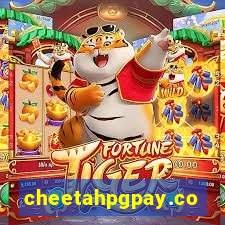 cheetahpgpay.com