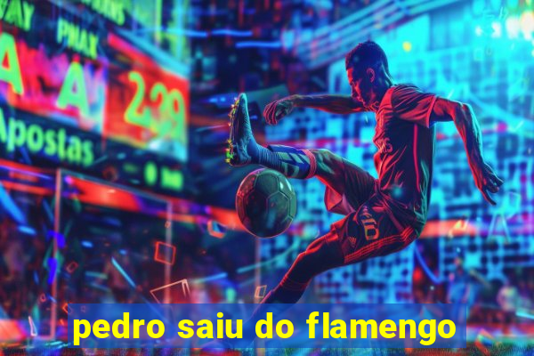 pedro saiu do flamengo