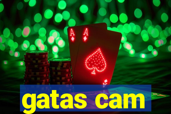 gatas cam