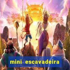 mini escavadeira aluguel rj