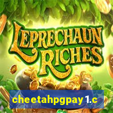 cheetahpgpay1.com