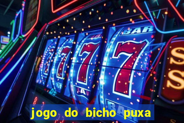 jogo do bicho puxa de dona maria