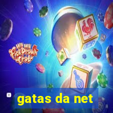 gatas da net