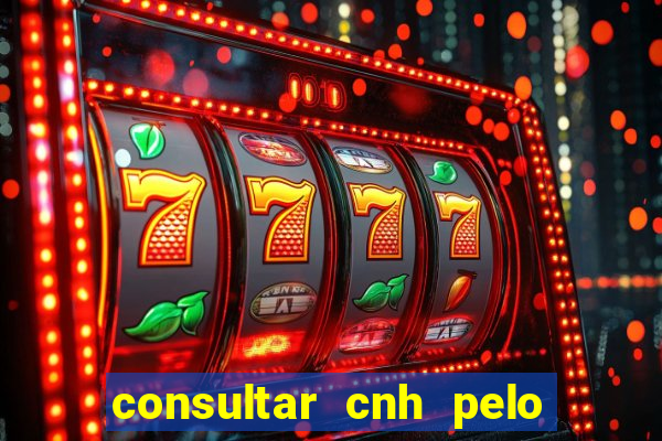 consultar cnh pelo cpf sp