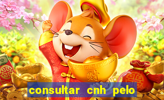 consultar cnh pelo cpf sp