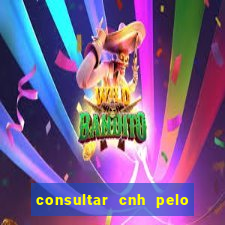 consultar cnh pelo cpf sp