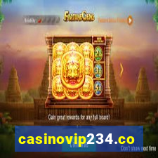 casinovip234.com