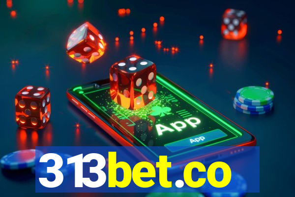 313bet.co