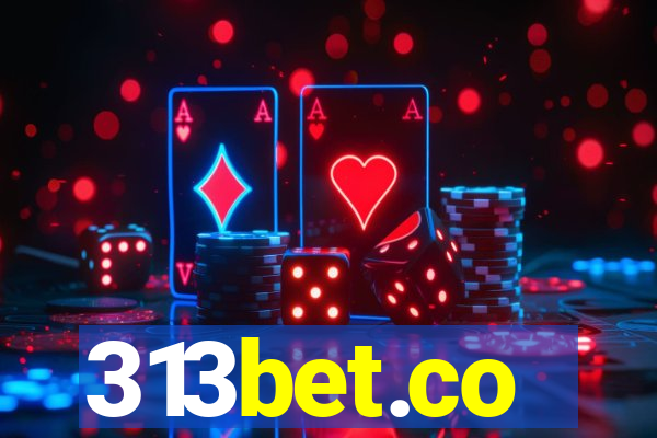 313bet.co