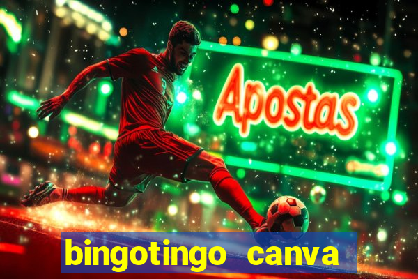 bingotingo canva pro gratis