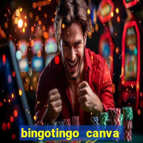 bingotingo canva pro gratis