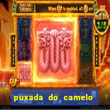 puxada do camelo no jogo do bicho