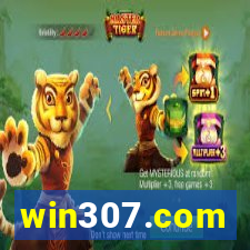 win307.com