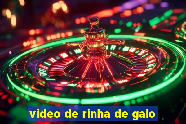 video de rinha de galo