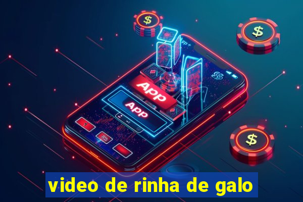 video de rinha de galo