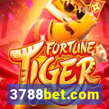 3788bet.com