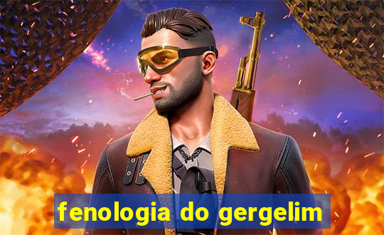 fenologia do gergelim