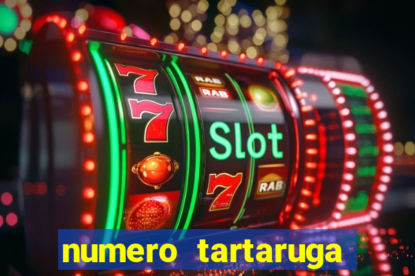 numero tartaruga jogo do bicho