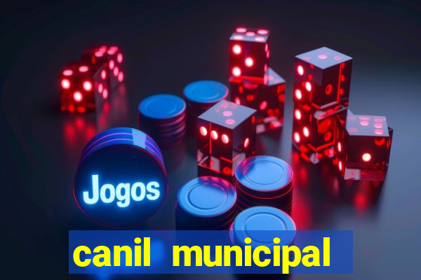 canil municipal porto alegre