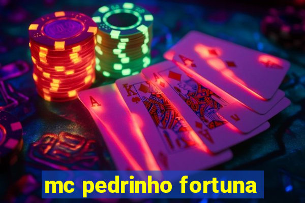 mc pedrinho fortuna