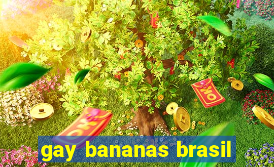 gay bananas brasil