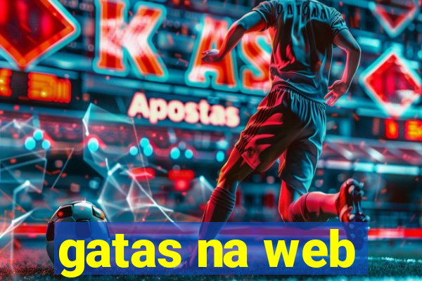 gatas na web