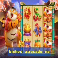 bichos atrasado na loteria dos sonhos