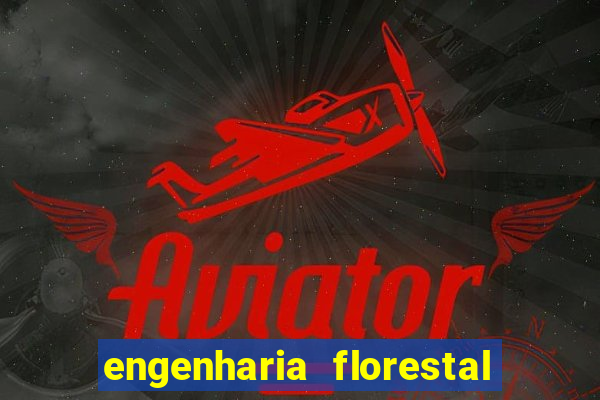 engenharia florestal ead cruzeiro do sul