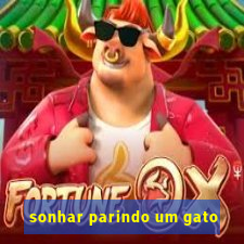 sonhar parindo um gato