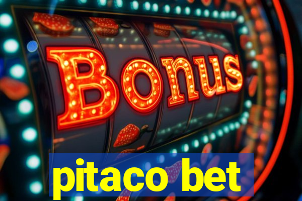 pitaco bet