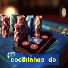 coelhinhas do brasil acompanhantes